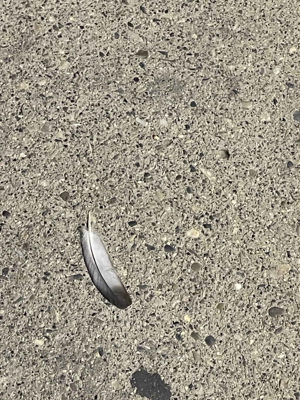 We Are for the Angels: Notes on a Life of Art, Law and Imagination – Robey&nbsp;Stothart