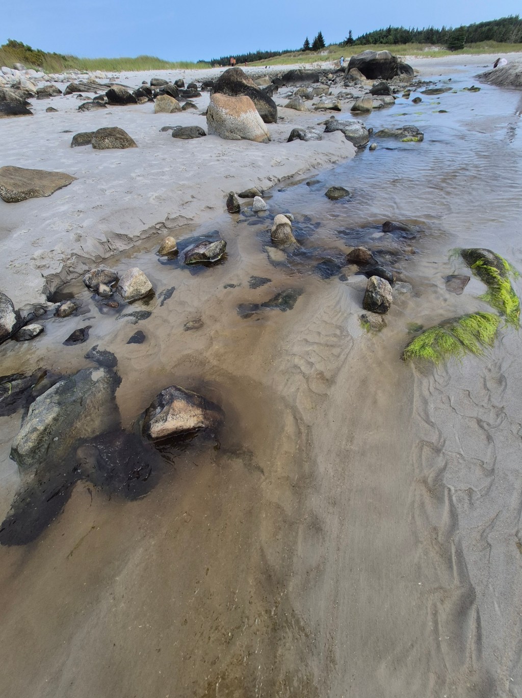 This Above All: To Thine Own Self Be True – Nadine&nbsp;Dunseith